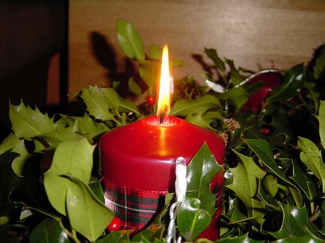 Picture 015.jpg